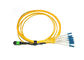 Κίτρινο σκοινί 8 μπαλωμάτων οπτικών ινών mtp-Sc Mpo ξεμπλοκαρίσματος πρότυπα Telcordia πυρήνων προμηθευτής